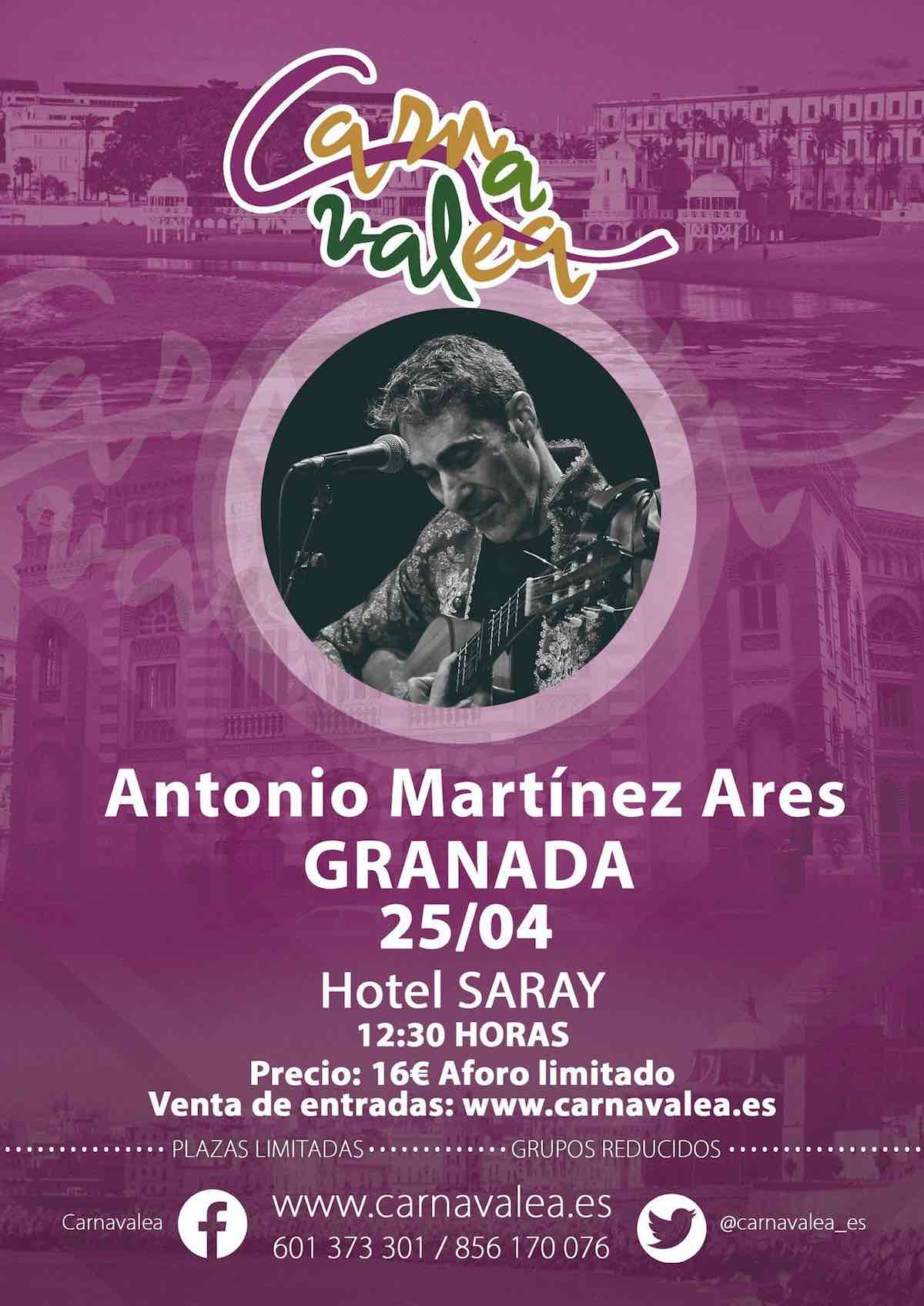 Cartel del Concierto Antonio Martin Ares en Granada